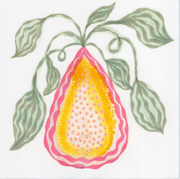 Low Hanging Fruit by kelly mccallum