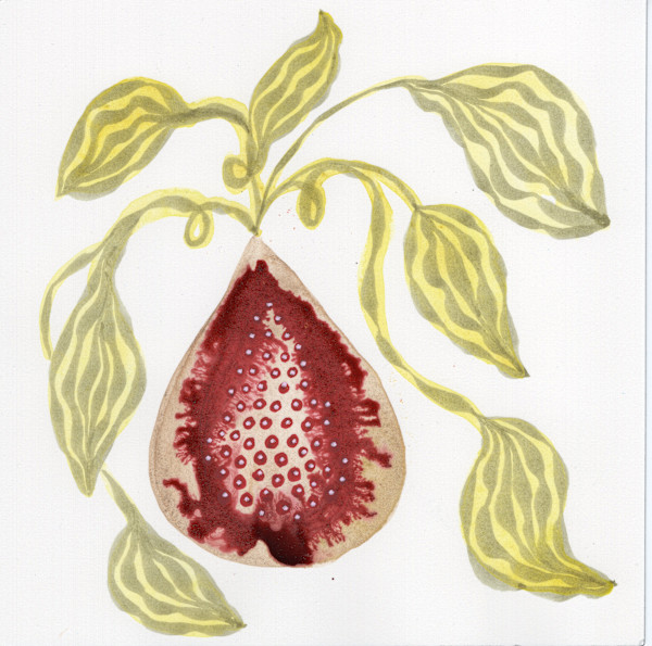 Low Hanging Fruit by kelly mccallum