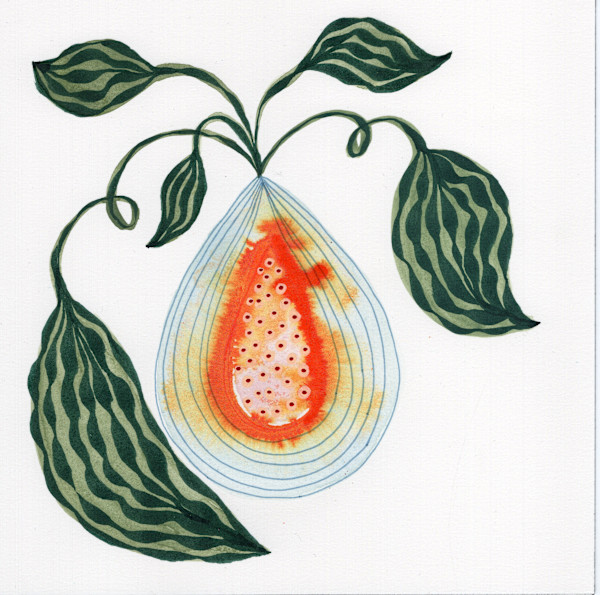 Low Hanging Fruit by kelly mccallum