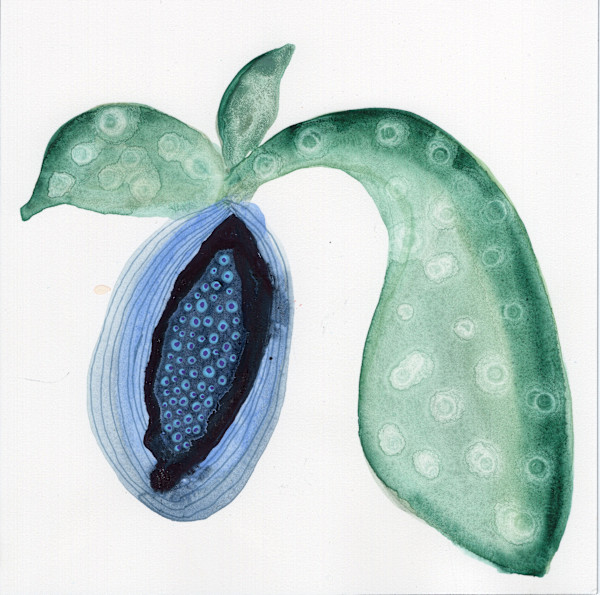 Low Hanging Fruit by kelly mccallum