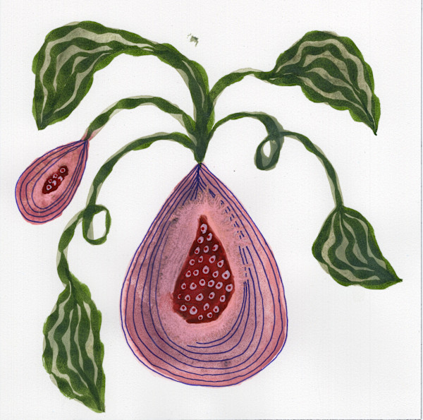 Low Hanging Fruit by kelly mccallum