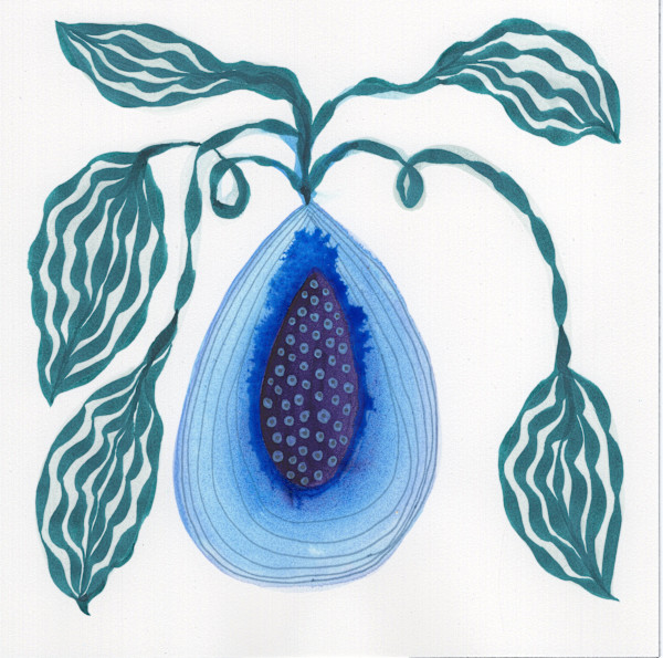 Low Hanging Fruit by kelly mccallum