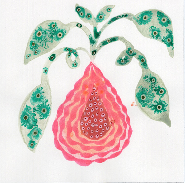 Low Hanging Fruit by kelly mccallum