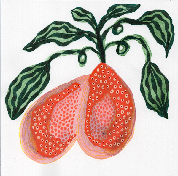 Low Hanging Fruit by kelly mccallum