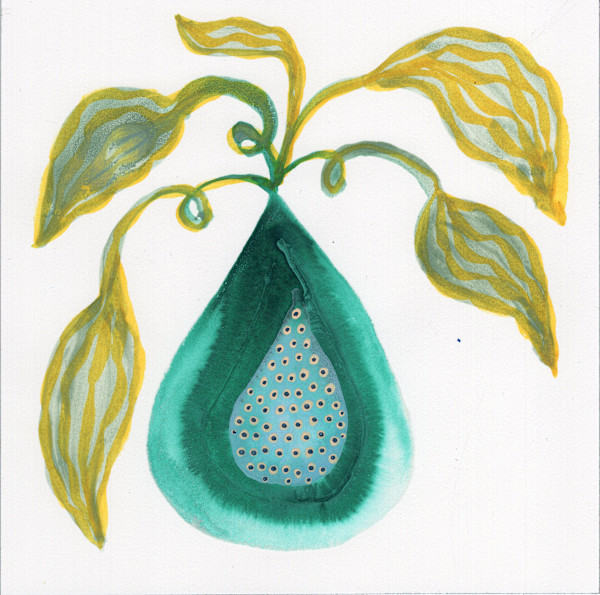 Low Hanging Fruit by kelly mccallum