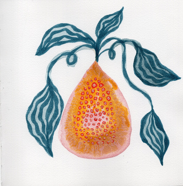Low Hanging Fruit by kelly mccallum