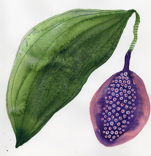 Low Hanging Fruit by kelly mccallum