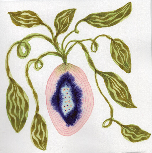 Low Hanging Fruit by kelly mccallum