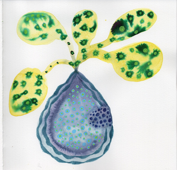 Low Hanging Fruit by kelly mccallum
