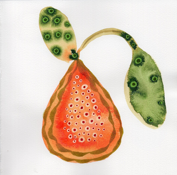 Low Hanging Fruit by kelly mccallum