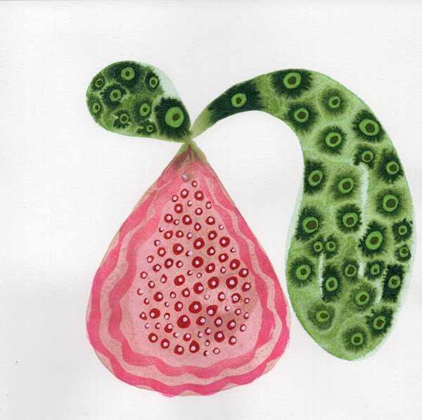 Low Hanging Fruit by kelly mccallum