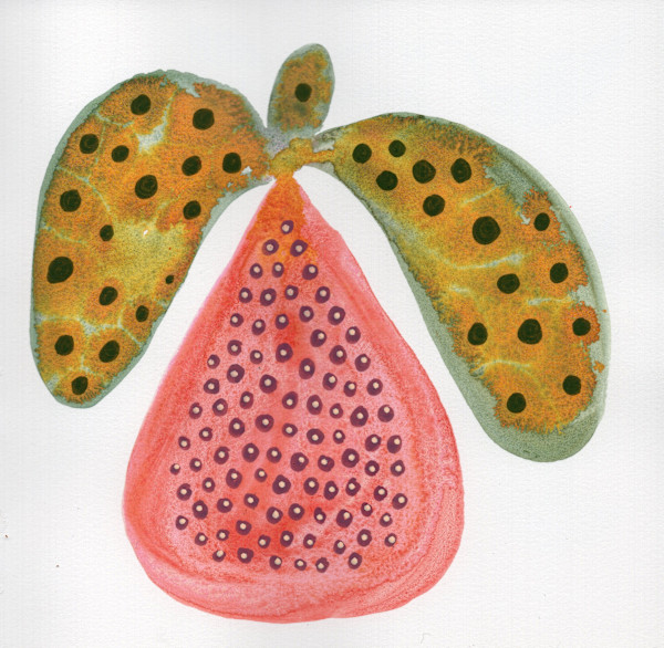 Low Hanging Fruit by kelly mccallum