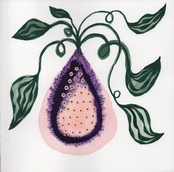Low Hanging Fruit by kelly mccallum