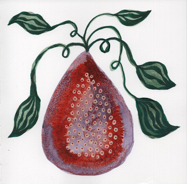 Low Hanging Fruit by kelly mccallum