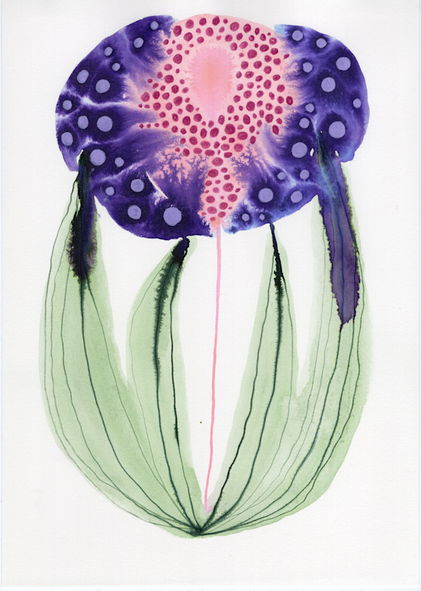 Single Flower Botanical by kelly mccallum