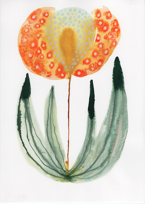 Single Flower Botanical by kelly mccallum