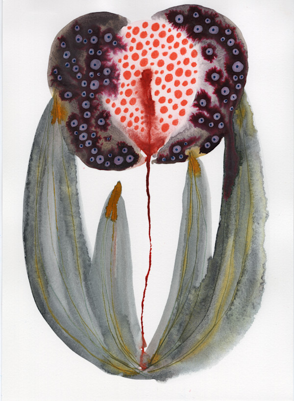Single Flower Botanical by kelly mccallum
