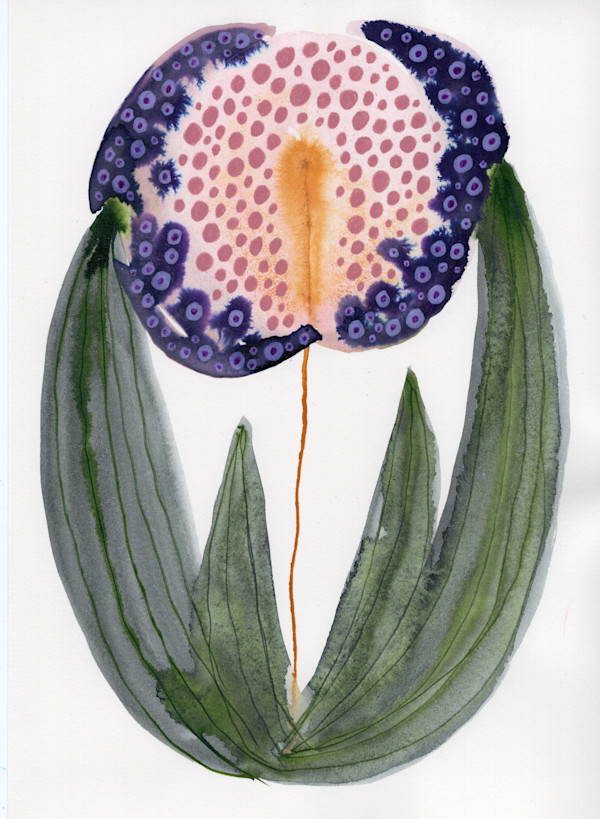 Single Flower Botanical by kelly mccallum