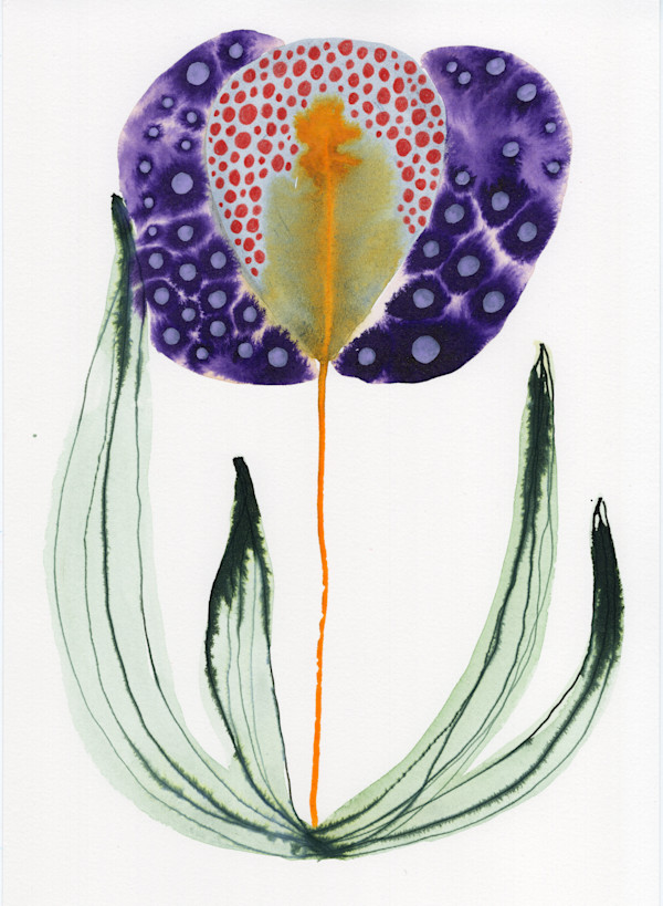 Single Flower Botanical by kelly mccallum