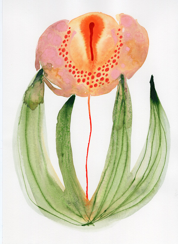 Single Flower Botanical by kelly mccallum