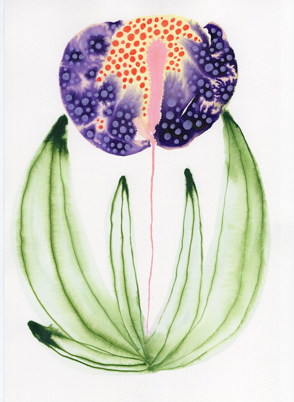 Single Flower Botanical by kelly mccallum