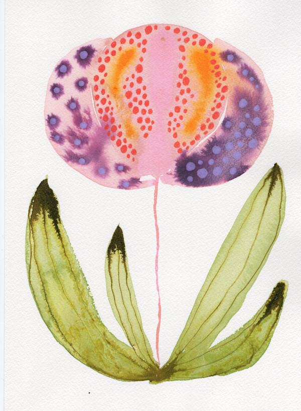 Single Flower Botanical by kelly mccallum