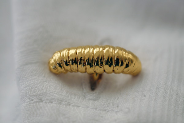 Maggot Cufflinks by kelly mccallum