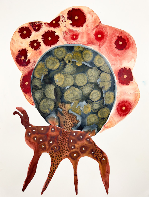 Totem by kelly mccallum