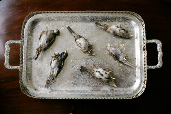 Served Cold by kelly mccallum