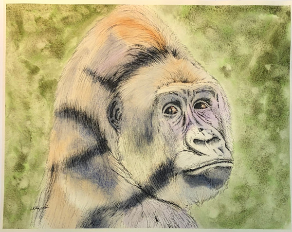 Gorilla 2 by Lisa Amport