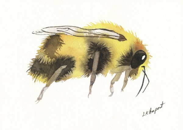 Bee 2 by Lisa Amport