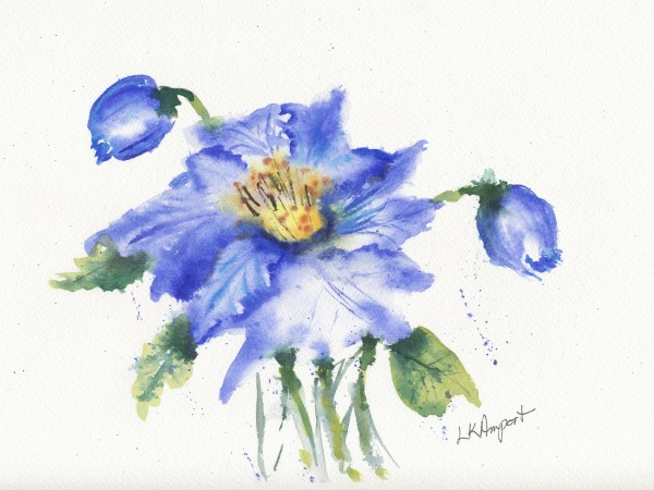 Blue Poppy by Lisa Amport