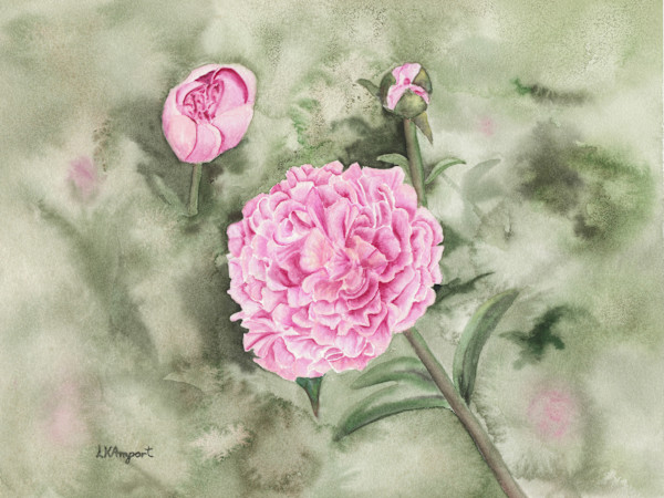 First Bloom by Lisa Amport