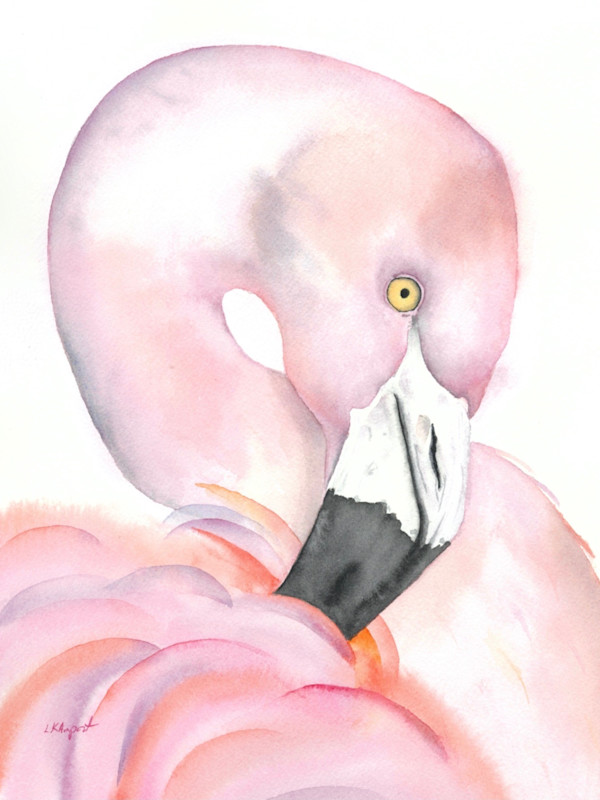 Flamingo Tucked by Lisa Amport