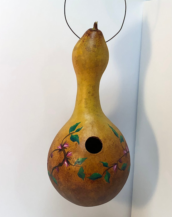 Birdhouse Gourds by Lisa Amport