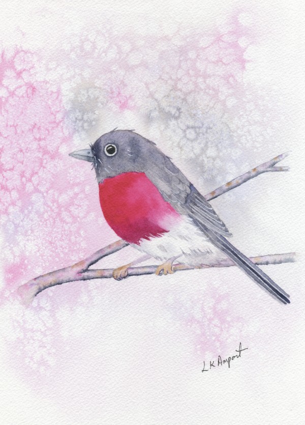 Rose Robin 2 by Lisa Amport