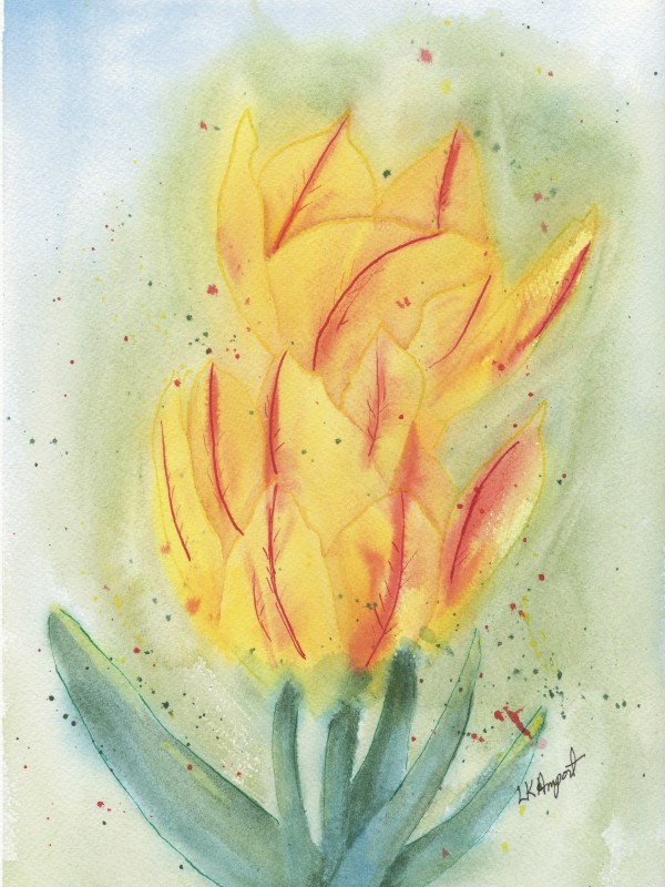 Yellow and Red Tulips by Lisa Amport