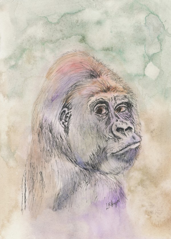 Gorilla by Lisa Amport