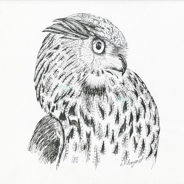 Horned Owl Profile by Lisa Amport