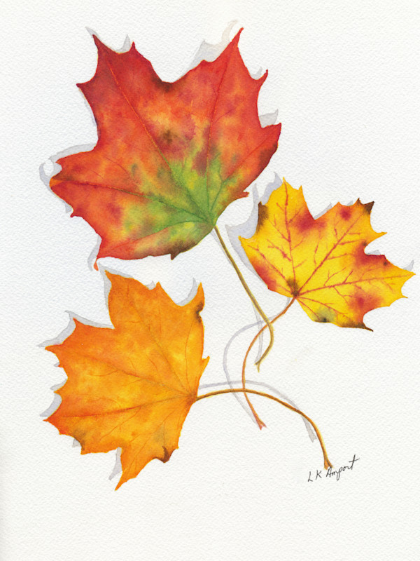 Leaves 2 by Lisa Amport