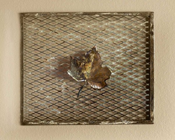 Single Leaf by Dick Bixler
