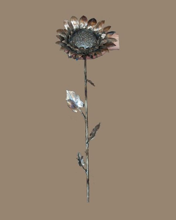 Single Sunflower by Dick Bixler