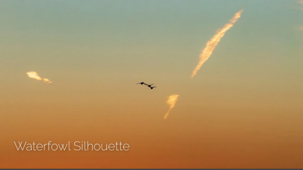 Silhouette in Flight by Tim Drake