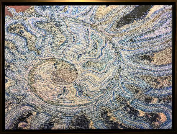 Innuendo 17- Fossil by Marilyn Henrion