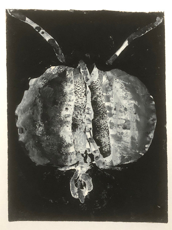Insect Head by Stéphane Dubé, Image 1.