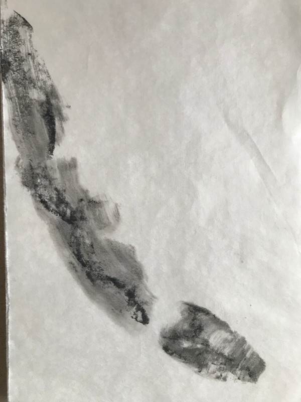 Dead snake by Stephane Dube