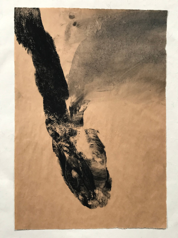 Dead snake by Stephane Dube