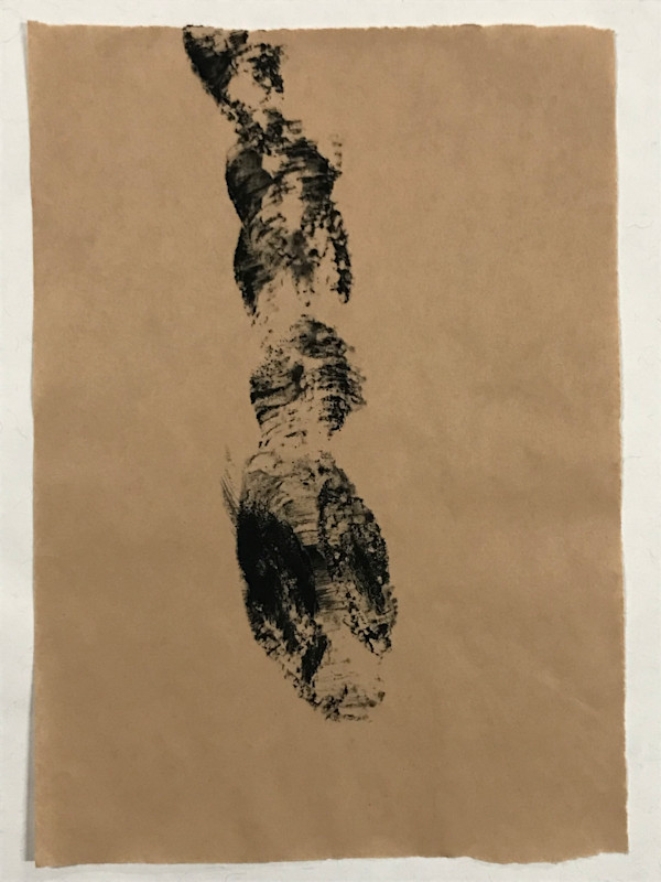 Dead snake by Stephane Dube