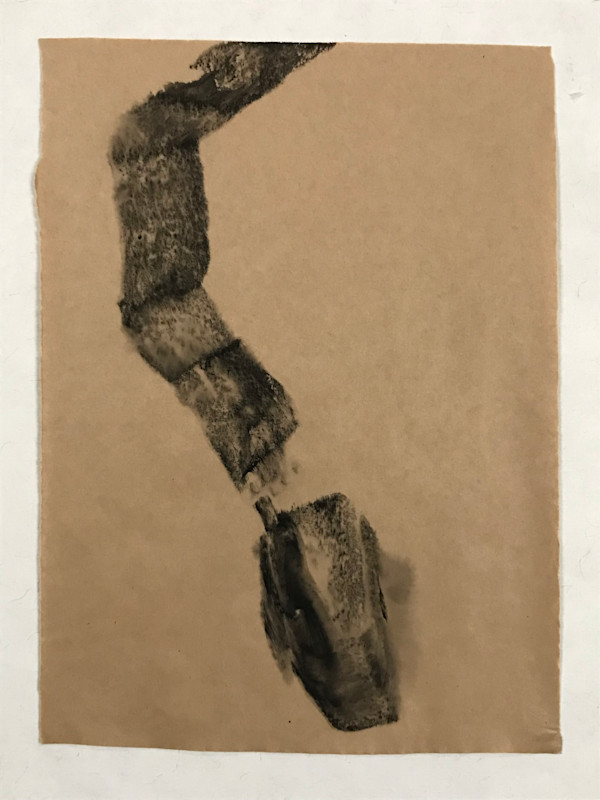 Dead snake 1 by Stéphane Dubé, Image 1.