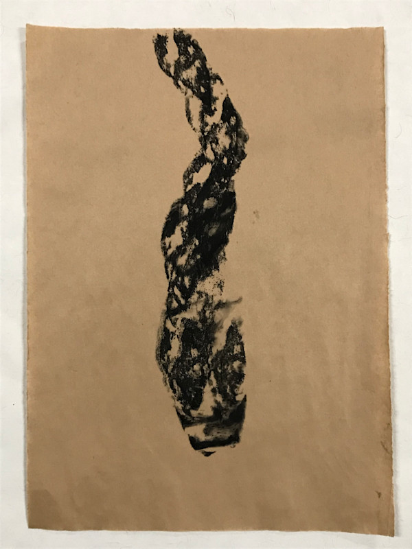 Dead snake 2 by Stéphane Dubé